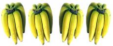 Bananen-4x6.jpg